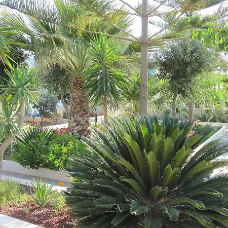 아파트 Nikos Karamolegkos *