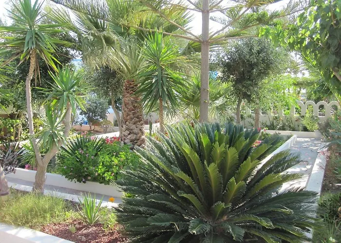 Daire Nikos Karamolegkos *